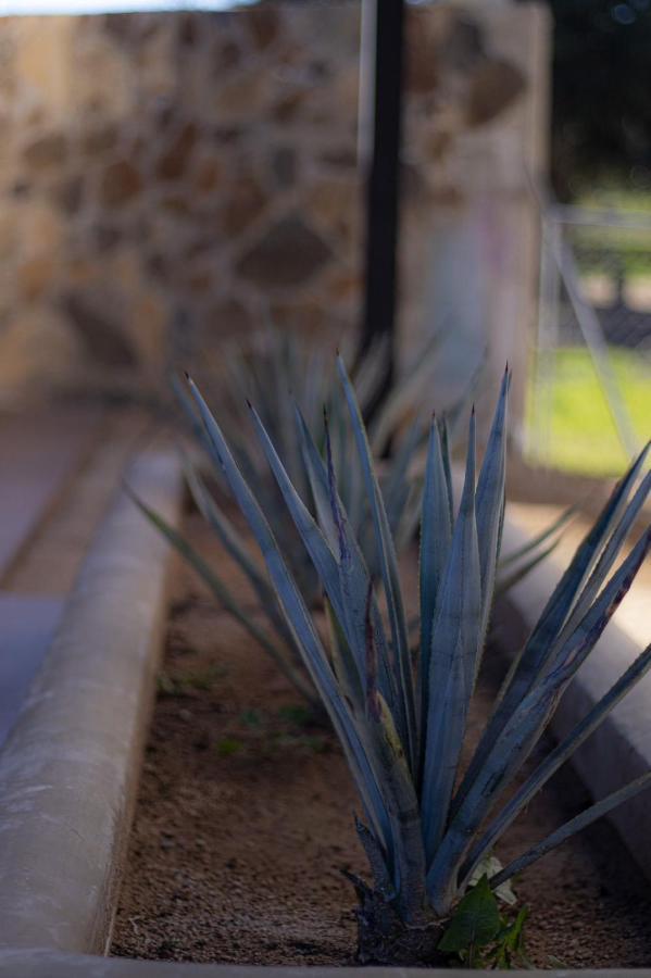 Catrina Valle - Ubicacion 10 Valle de Guadalupe Zewnętrze zdjęcie